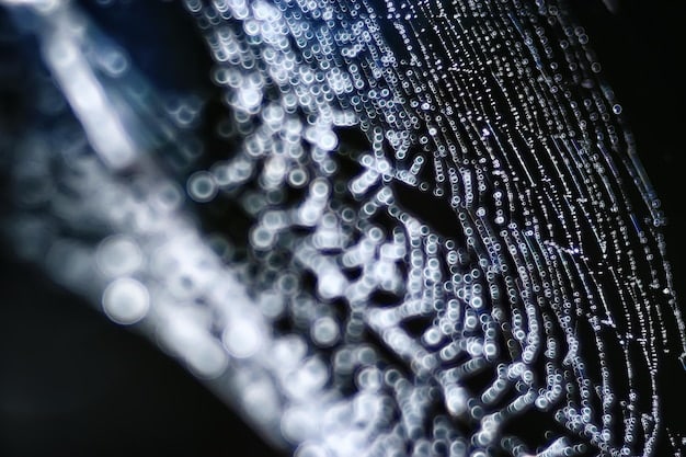 A close-up photo of a modern GPU (Graphics Processing Unit) with intricate details of its cooling system, chips, and circuit board. The background is blurred, highlighting the complexity and sophistication of the hardware.